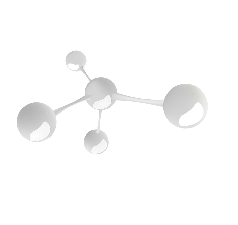 wsa