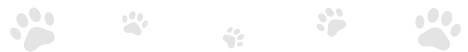 wsa