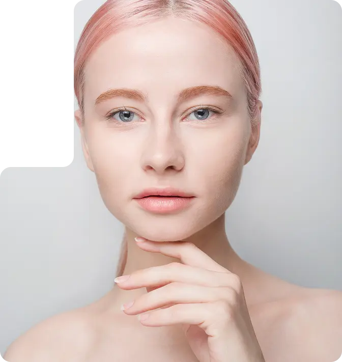 wsa