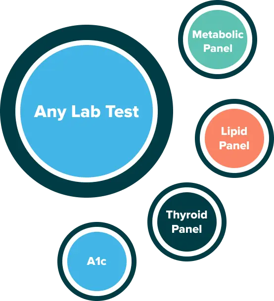 Get any lab test now with an extensive blood work panel online | Heally