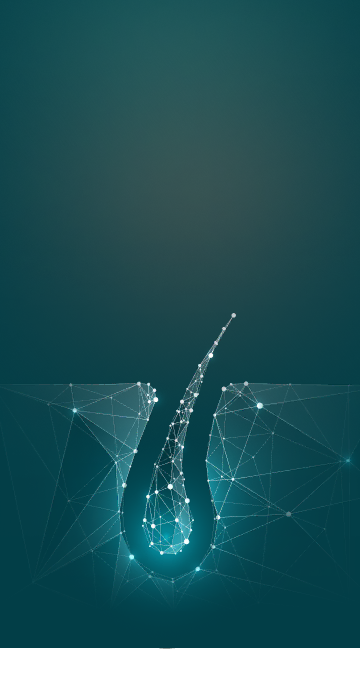 wsa