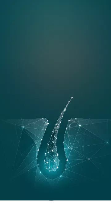 wsa